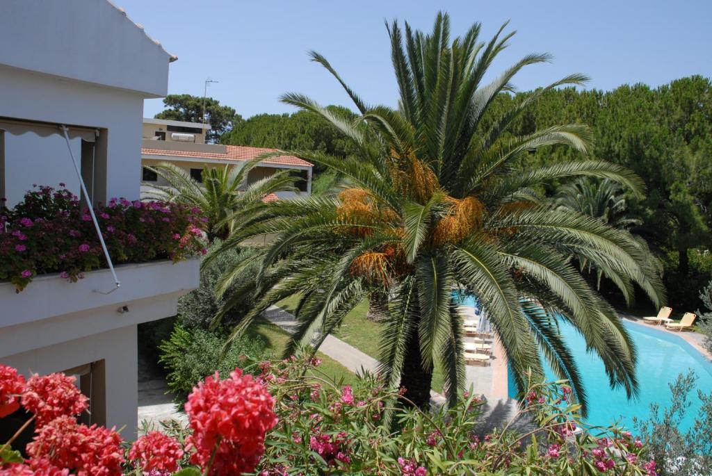 Niki Hotel Apartments Ialysos (Rhodes) Exterior foto