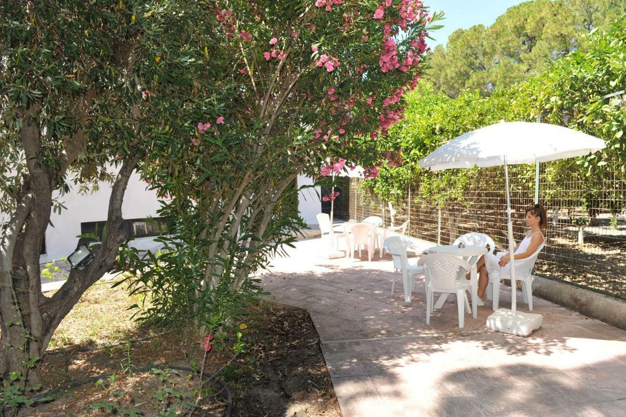 Niki Hotel Apartments Ialysos (Rhodes) Exterior foto